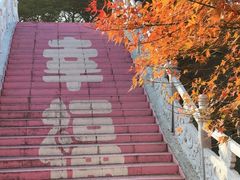 -田野绿世界