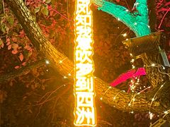 -龙津风雨桥