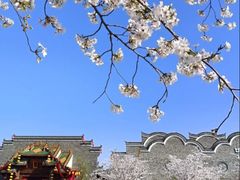 -武汉园博园(武汉自然博物馆)