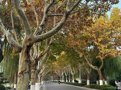 -云龙湖旅游景区