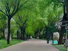 -唐城墙遗址公园