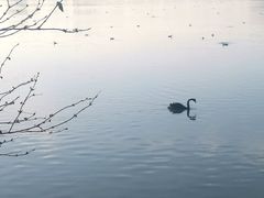 -天津东丽湖风景区