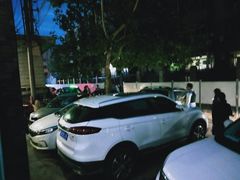 -福顺祥大盘鸡(临潼店)