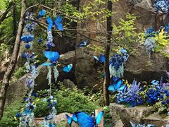 -秦岭终南山世界地质公园翠华山景区