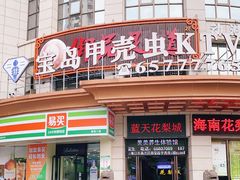 -宝岛甲壳虫KTV(蓝天路店)