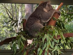 -费瑟代尔野生动物园