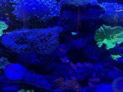 -上和臻品中国菜(花园街店)