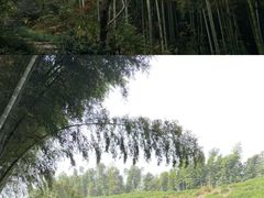 -径山寺