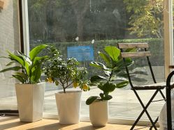 -赫美科技美肤康养减脂中心