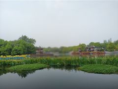 -白鹭洲公园