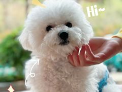 -MOI COFFEE(江山汇悦山府店)