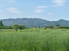 -良渚古城遗址公园