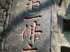 -大金鹰园