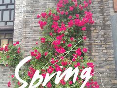 -盛兴面馆(真儒大厦店)