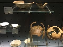 -九龙公园