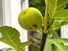 -沃合农家小馆(半壁街店)