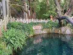 -蝴蝶泉公园