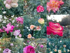 -人民公园(罗湖区)