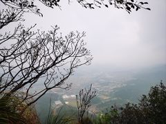 -午潮山国家森林公园