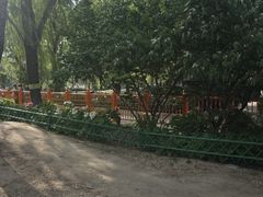 -太阳宫公园