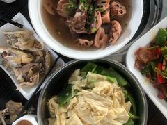 -石岐乳鸽村(桥观坊南四巷店)