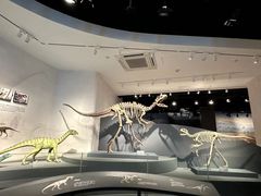 -自贡恐龙博物馆