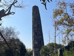 -上海佘山国家森林公园天马山园