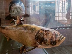 -南京金牛湖风景区