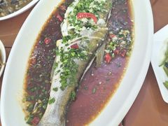 -品雅轩农家乐