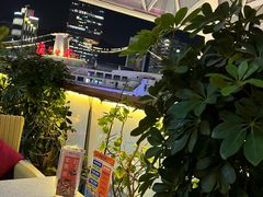 -润园四季椰子鸡火锅(海上世界店)