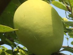 -河南省黄河迎宾馆