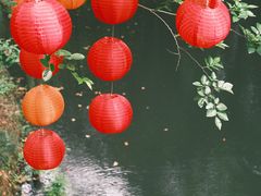 -西溪国家湿地公园