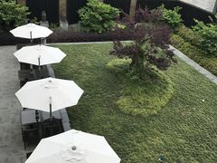 -上海崇明金茂凯悦酒店