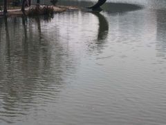 -昆山城市生态森林公园