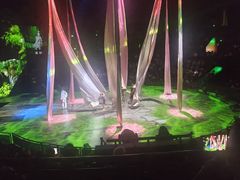 -上海马戏城