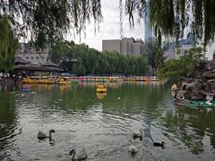 -团结湖公园