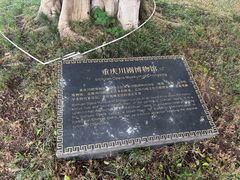 -重庆川剧博物馆