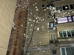 -霖公馆SPA·足道(普善路店)