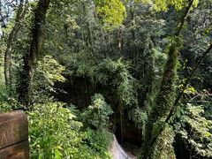 -青城山