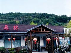 -呼吸森林·生态农庄农家乐私房菜