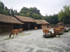 -金沙遗址博物馆