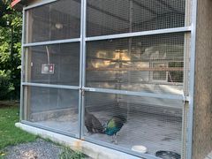 -厦门悦华酒店