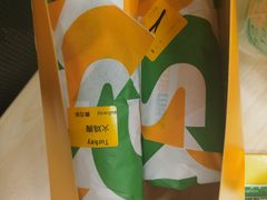 -SUBWAY赛百味(高新绿宝店)