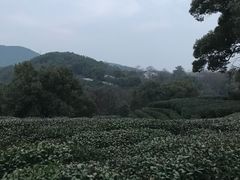 -西湖风景区十里琅珰-五云山