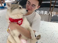 -Husky Go!哈士奇体验馆·宠物咖啡厅狗咖