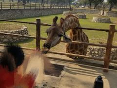 -西安秦岭野生动物园
