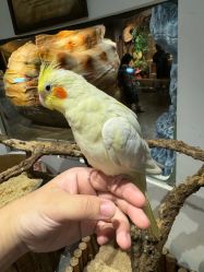 -Zoolung Zoolung动物主题公园(海信广场店)