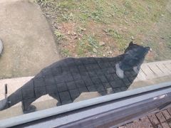 -上方山森林动物世界