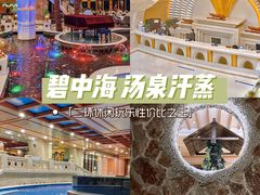 -碧中海汤泉汗蒸酒店