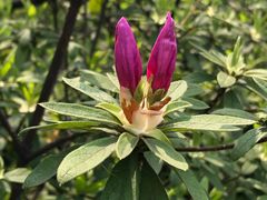 -上海市龙华烈士陵园